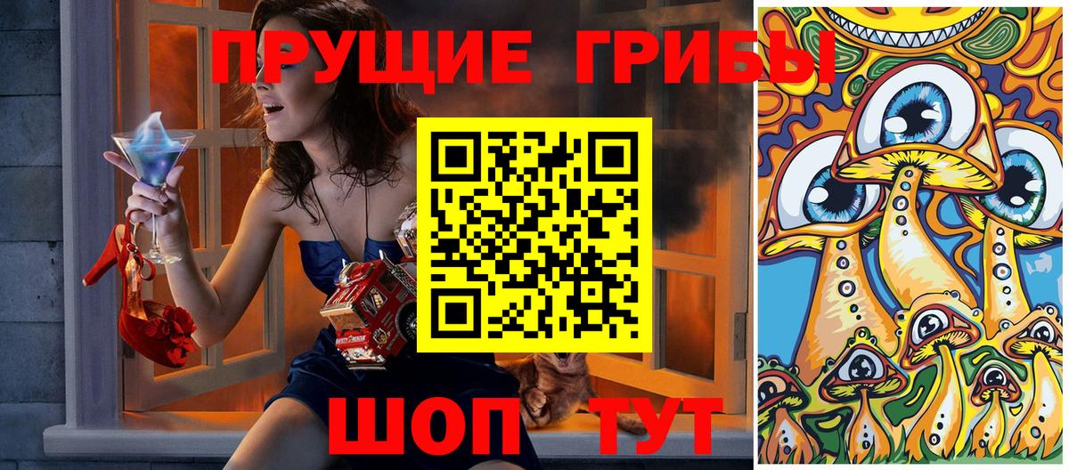 Торжок  Псилоцибиновые грибы мицелий  Вход с VPN 